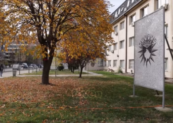 Raporti i IPK-së gjen mangësi në trajtimin e dhunës në familje nga Policia