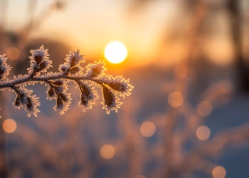 Parashikimi i motit për sot