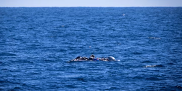 53 migrantë të vdekur ose të zhdukur pas përmbysjes së një anijeje në Mesdhe