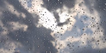 Shi e borë, parashikimi i motit për nesër