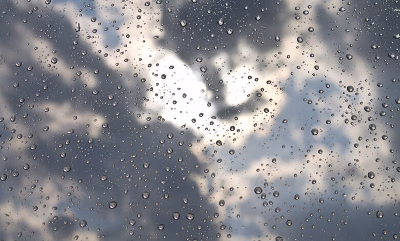 Shi e borë, parashikimi i motit për nesër