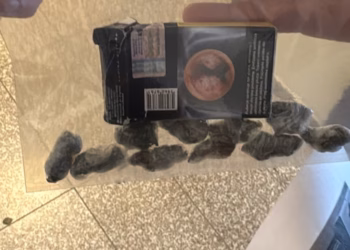 Arrestohet një person në Mitrovicën e Jugut për posedim të narkotikëve