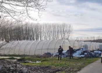 Gjendet i vrarë në parcelën e një toke 25-vjeçari shqiptar në Itali