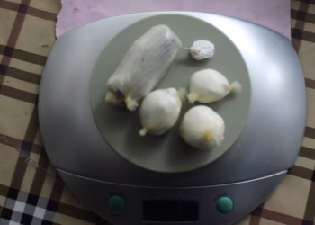 Parandalohet futja e substancave narkotike në Dubravë