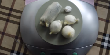 Parandalohet futja e substancave narkotike në Dubravë