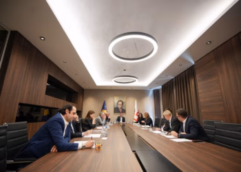 LDK: Zgjedhja e presidentit vetëm me marrëveshje politike, përgjegjësia i takon partisë së parë