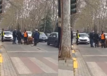 Aksident me vdekje në Tiranë, autoboti përplas gruan që po lëvizte me motor