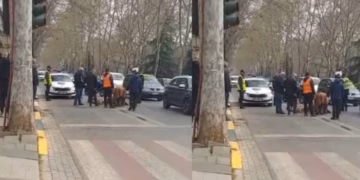 Aksident me vdekje në Tiranë, autoboti përplas gruan që po lëvizte me motor