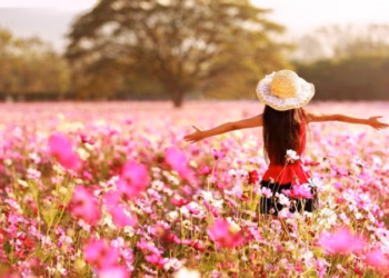 Nga sot fillon stina e pranverës