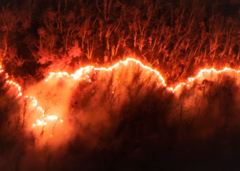 Tri zjarre në Kamenicë, Policia paralajmëron qytetarët për rrezikun dhe pasojat ligjore