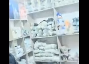 Dogana konfiskon mallra që dyshohet se janë të kontrabanduara, vlera rreth 800 mijë euro