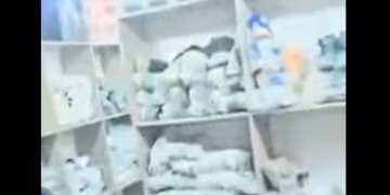 Dogana konfiskon mallra që dyshohet se janë të kontrabanduara, vlera rreth 800 mijë euro