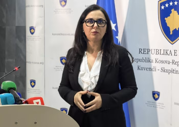 Lushaku-Sadriu: Zgjedhja e presidentit në rrugë pa krye, drejt zgjedhjeve