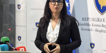 Lushaku-Sadriu: Zgjedhja e presidentit në rrugë pa krye, drejt zgjedhjeve