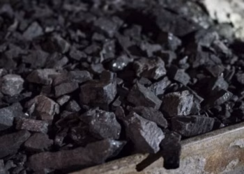 Gjashtë të arrestuar për nxjerrje ilegale të thëngjillit në Vushtrri