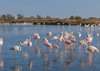 ​Pesë arsyet përse veriu i Shqipërisë është destinacioni i ardhshëm elitar i Evropës