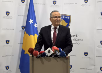 Hamza: Për PDK-në, çdo datë brenda afateve kushtetuese është e pranueshme