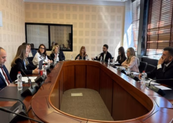 Behrami kërkon raportim të Trendafilovës, kundërshtohet nga Selimi