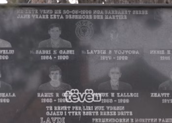 “Ma kanë drejtu atë kondakun jam rrëzu jam alivanosë”, rrëfim nga Skenderaj për të bëmat e Dejan Peleviq që u arrestua për krime lufte