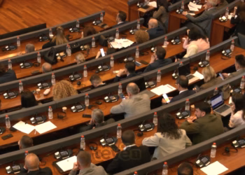 Projektligjet në lexim të dytë – Kalojnë ligjet për Sigurimin Shëndetësor dhe Çmimet Tavan