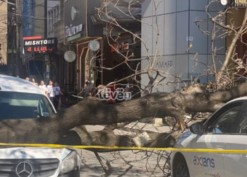 Rrëzohet lisi te “4 llullat”, dëmtohen dy vetura