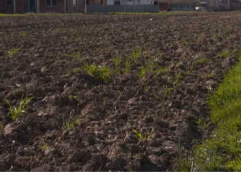 Pranverë e rëndë për bujqit