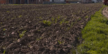 Pranverë e rëndë për bujqit