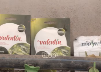 Bujqit ankohen për çmimin e plehut, problem edhe ai i naftës