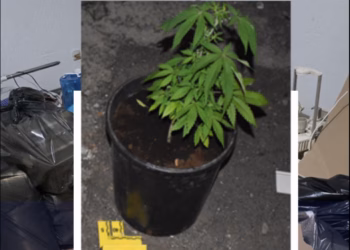 Shkatërrohet një laborator i drogës në Prizren, kërkohet paraburgim për dy të pandehurit