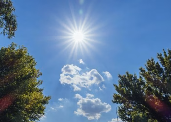 Parashikimi i motit për sot