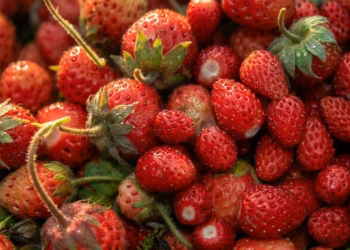 3 këshilla për të ulur konsumin e sheqerit dhe për të qetësuar sistemin nervor