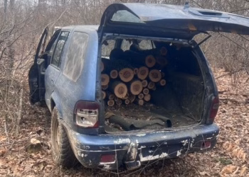 Policia parandalon vjedhjen e pyllit në Siqevë