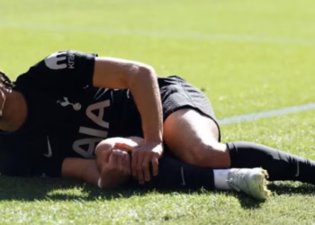 Holanda pa Simonsin në Botëror