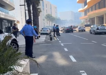 Zjarr i madh te Rana e Hedhun në Shqipëri, zona me pisha përfshihet nga flakët