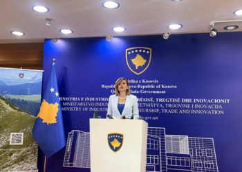 ​Rreth 200 mijë euro gjoba për njehsorët, Kusari-Lila flet për keqpërdorimet në energji