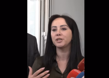 Fejza: Nuk kishte asnjë komunikim paraprak me Lushtakun, u ofrua dhe e sulmoi Mehanin