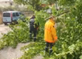 Moti i keq përfshin Vlorën, erërat e forta rrëzojnë disa pemë