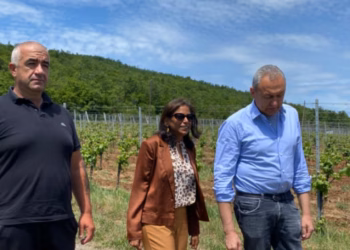 Anu Prattipati viziton veriun e Kosovës, takohet me kryetarët e komunave me shumicë serbe