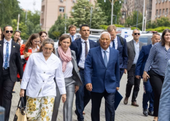 Palatova: Kosova ka nevojë për institucione plotësisht funksionale sa më shpejt të jetë e mundur