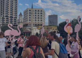 Dita e katërt e protestës për Zvërnecin, nis mbledhja e qytetarëve në sheshin “Skënderbej”