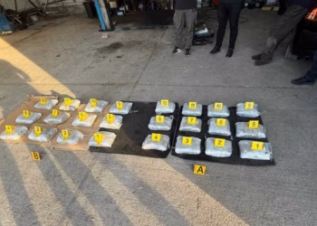Aksion kundër narkotikëve, policia konfiskon mbi 25 kilogramë marihuanë dhe arreston tre persona
