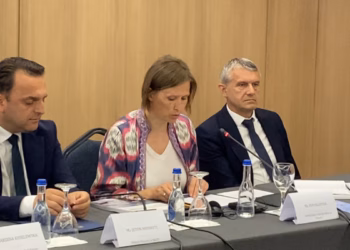 ​Palatova: Kosova të formojë institucionet dhe përmbushë reformat për të përfituar 880 milionë