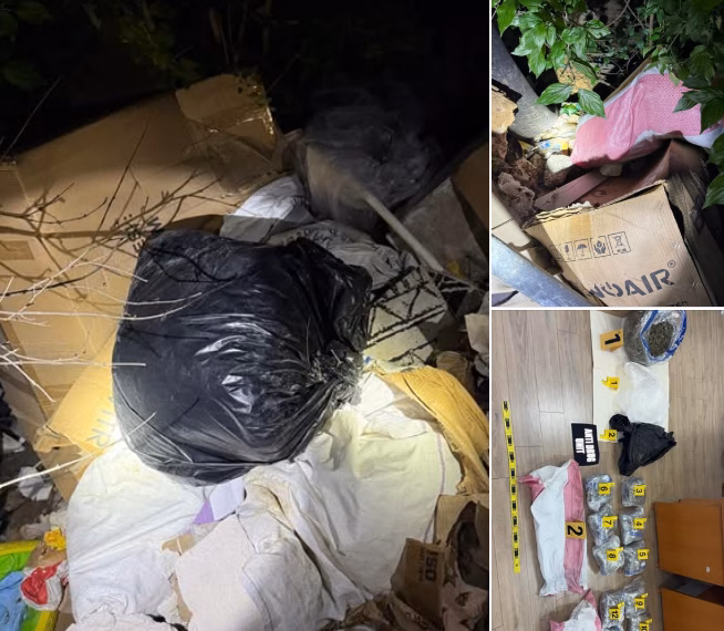 Konfiskohen afro 18 kilogramë marihuanë në Kaçanik, arrestohen dy persona