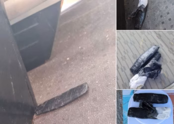 SHKK dhe K9 parandalojnë futjen e drogës në Dubravë