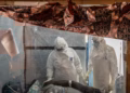 Franca regjistron rastin e parë me Ebola