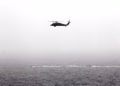 Shpëtohet ekuipazhi i helikopterit sulmues amerikan që u rrëzua pranë Ngushticës së Hormuzit