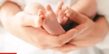 Bie numri i lindjeve në Kosovë