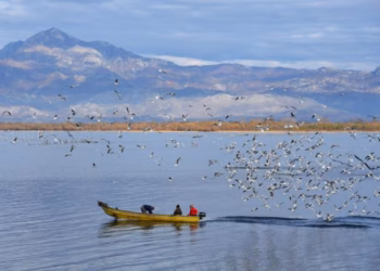 Liqeni i Shkodrës shpallet pasuri e UNESCO-s