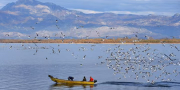 Liqeni i Shkodrës shpallet pasuri e UNESCO-s