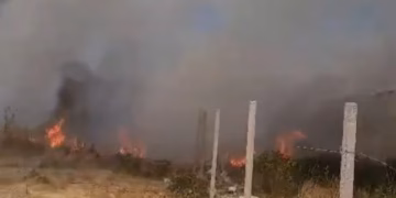 Zjarri përfshin periferinë e Vlorës, flakët rrezikojnë banesat